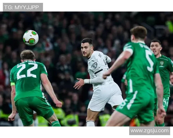 法国与爱尔兰足球历史交锋记录分析与回顾