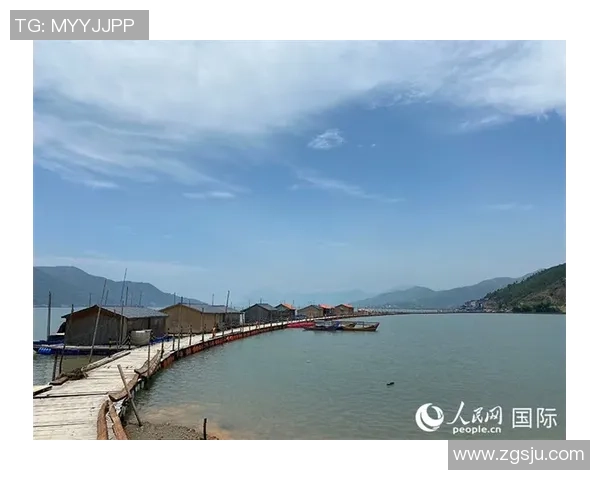 迪巴拉：从天才少年到足球巨星的华丽转身与未来展望