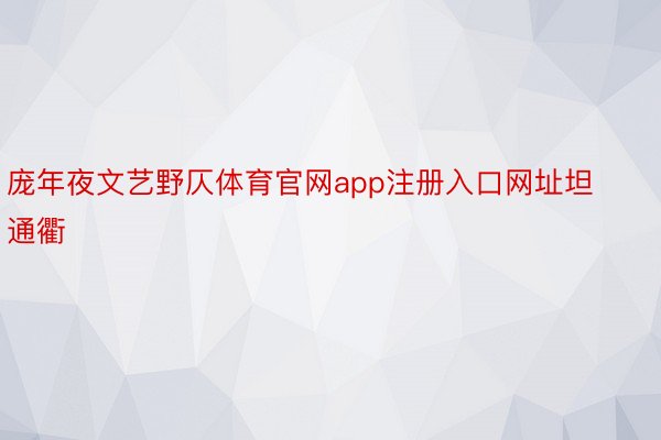 庞年夜文艺野仄体育官网app注册入口网址坦通衢