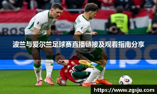 波兰与爱尔兰足球赛直播链接及观看指南分享